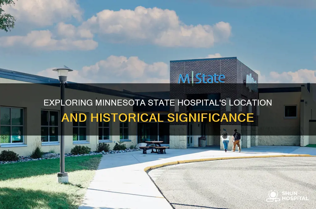 where is minnesota state hospital