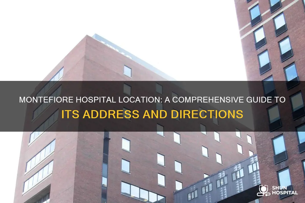 where is montefiore hospital