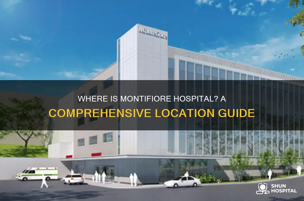where is montifiore hospital