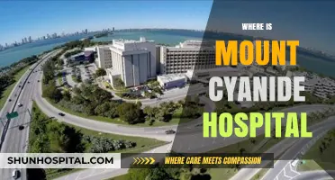 Unveiling the Mystery: Mount Cyanide Hospital's Location Explored