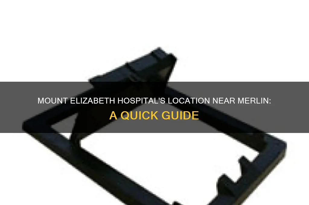 where is mount elizabeth hospital in relation to merlin