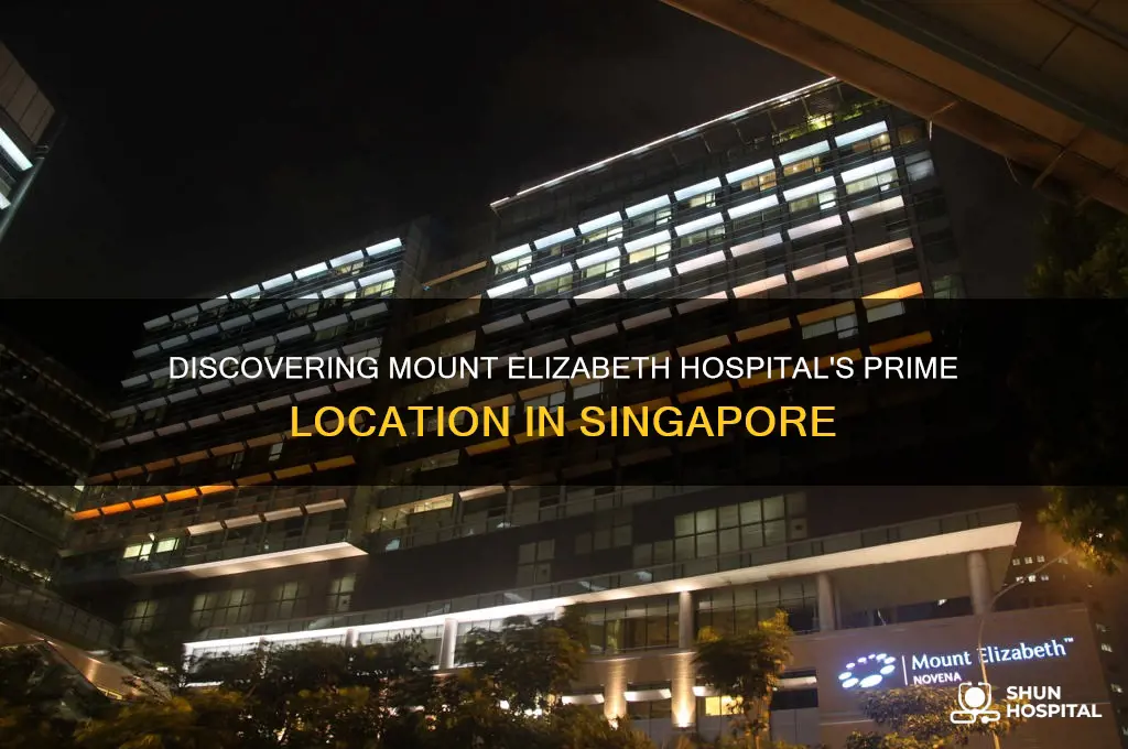 where is mount elizabeth hospital