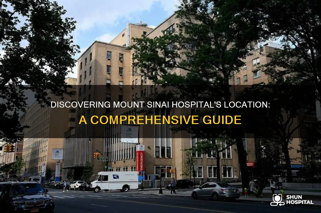 where is mount sanai hospital