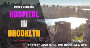 Mount Sinai Hospital Brooklyn: Location and Directions Guide