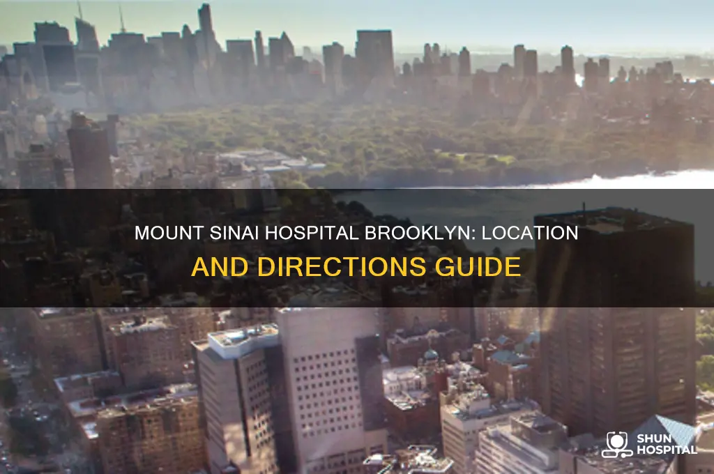 where is mount sinai hospital in brooklyn