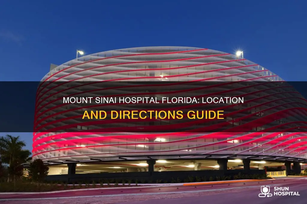 where is mount sinai hospital in florida