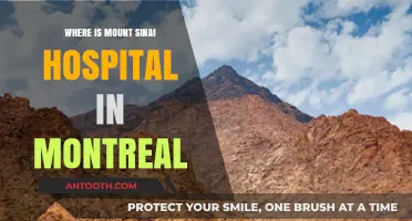 Mount Sinai Hospital Montreal: Location and Directions Guide