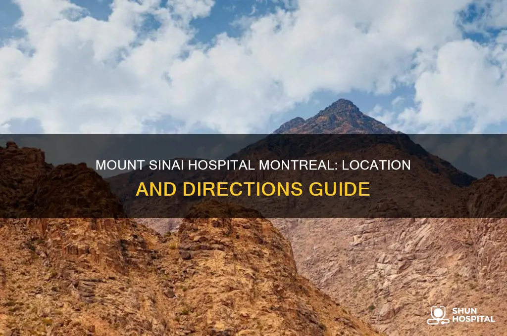 where is mount sinai hospital in montreal