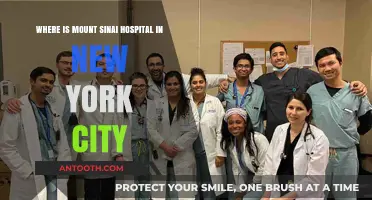 Mount Sinai Hospital NYC: Location Guide in New York City