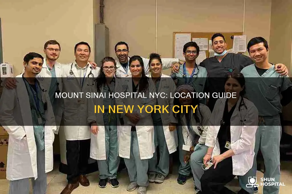 where is mount sinai hospital in new york city