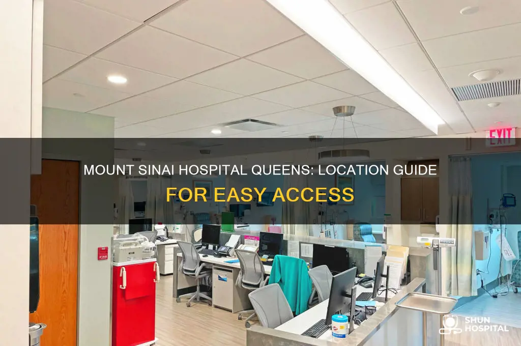 where is mount sinai hospital in queens