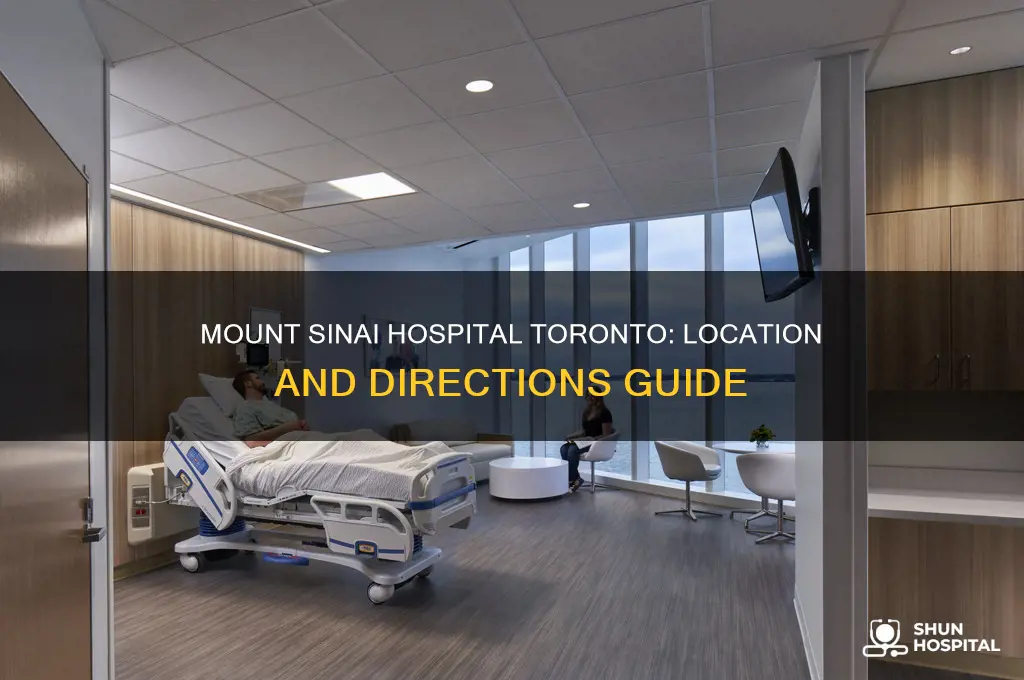 where is mount sinai hospital in toronto