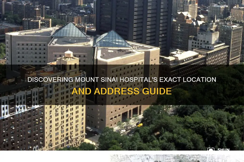 where is mount sinai hospital located at