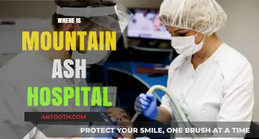 Locating Mountain Ash Hospital: A Comprehensive Guide to Its Exact Address