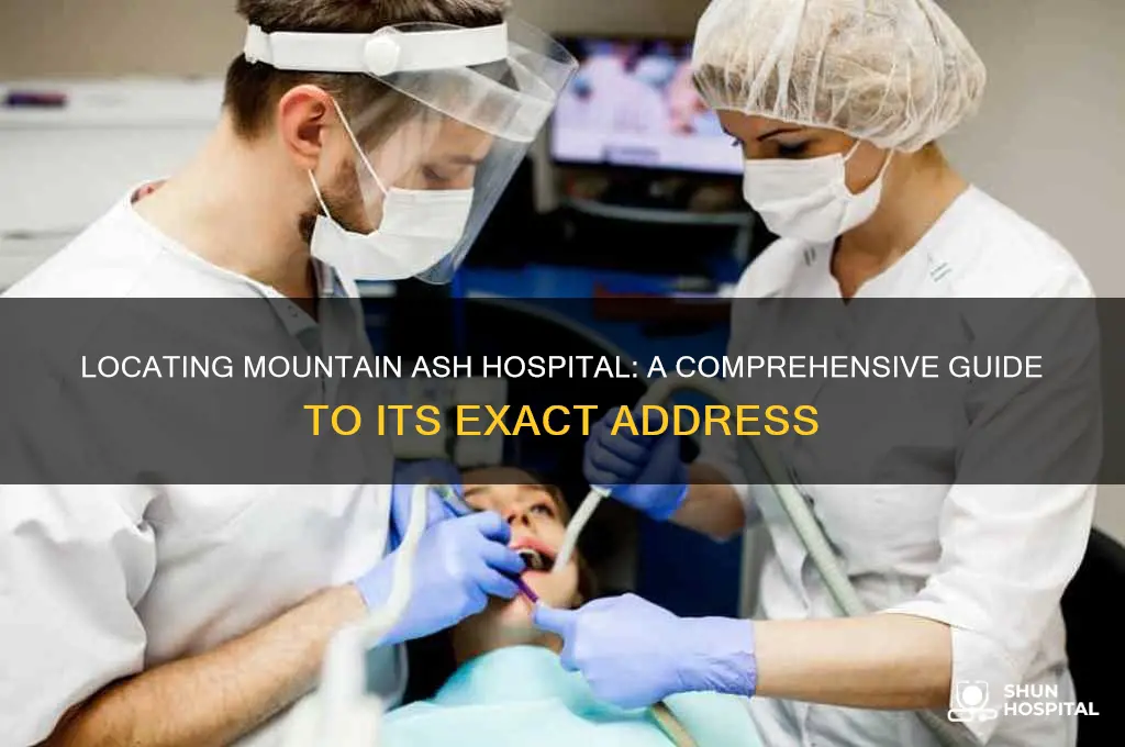 where is mountain ash hospital