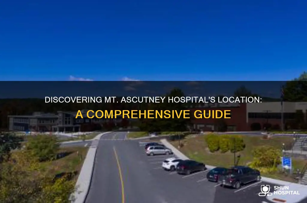 where is mt ascutney hospital