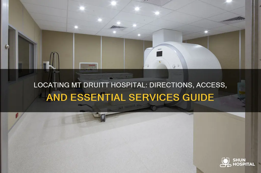where is mt druitt hospital