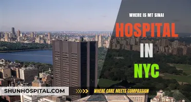 Mt Sinai Hospital: A Leading Healthcare Provider in NYC