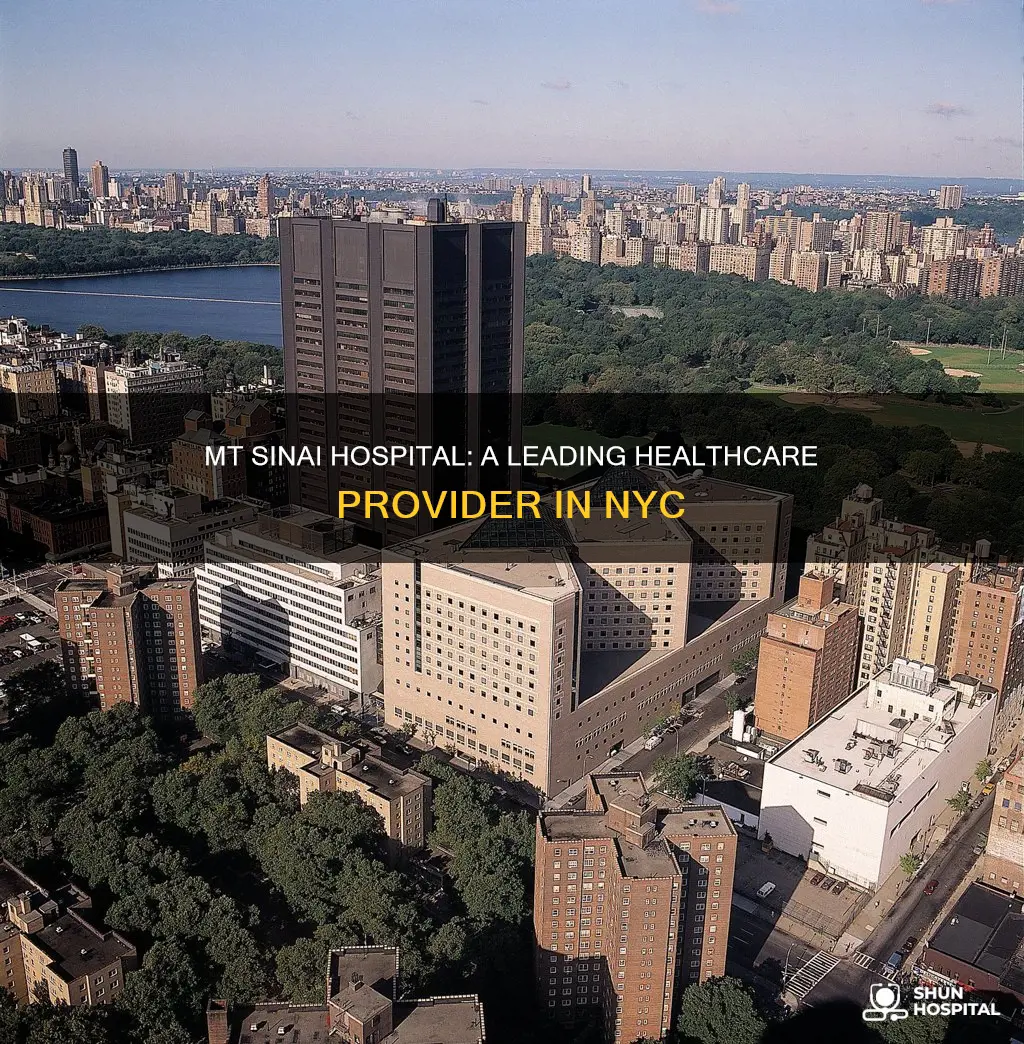 where is mt sinai hospital in nyc