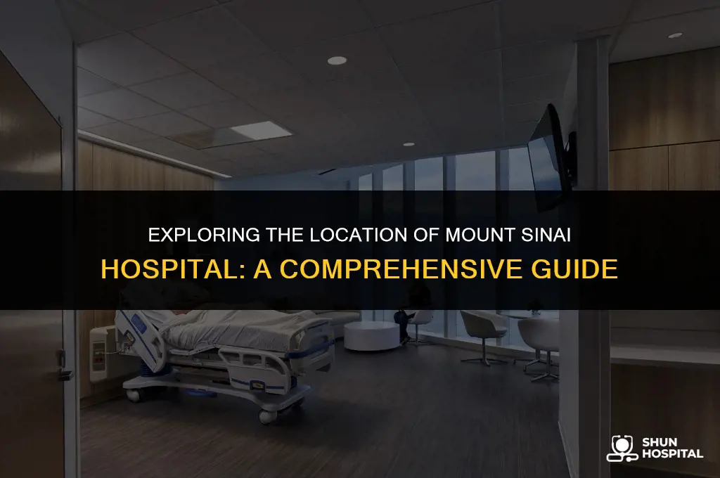 where is mt sinai hospital located