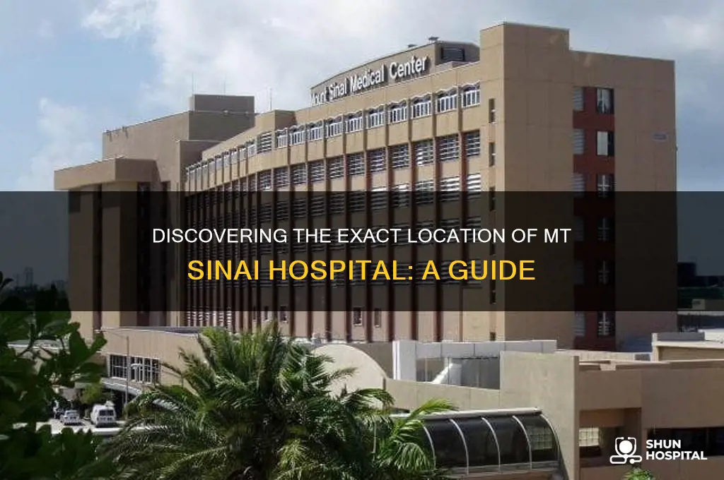 where is mt sinai hospital