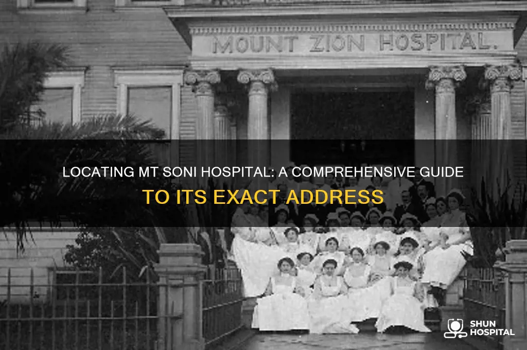 where is mt soni hospital