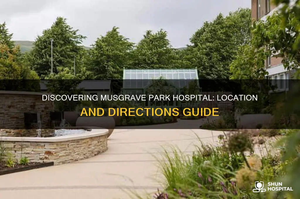 where is musgrave park hospital