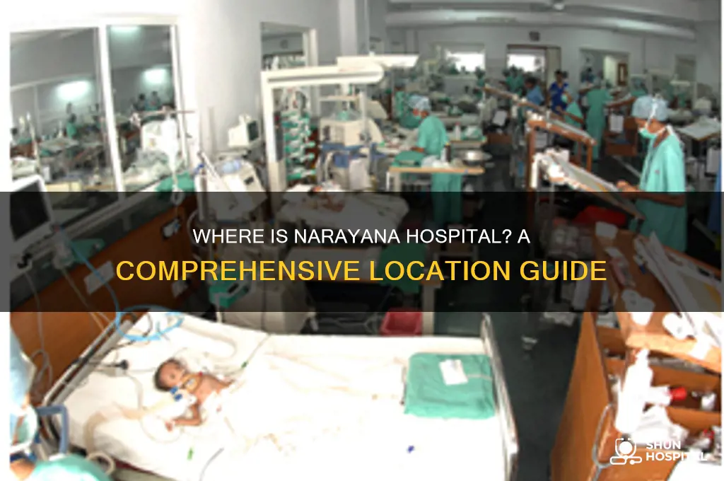 where is narayana hospital