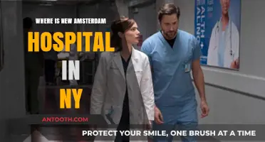 Discovering New Amsterdam Hospital's Location in New York City