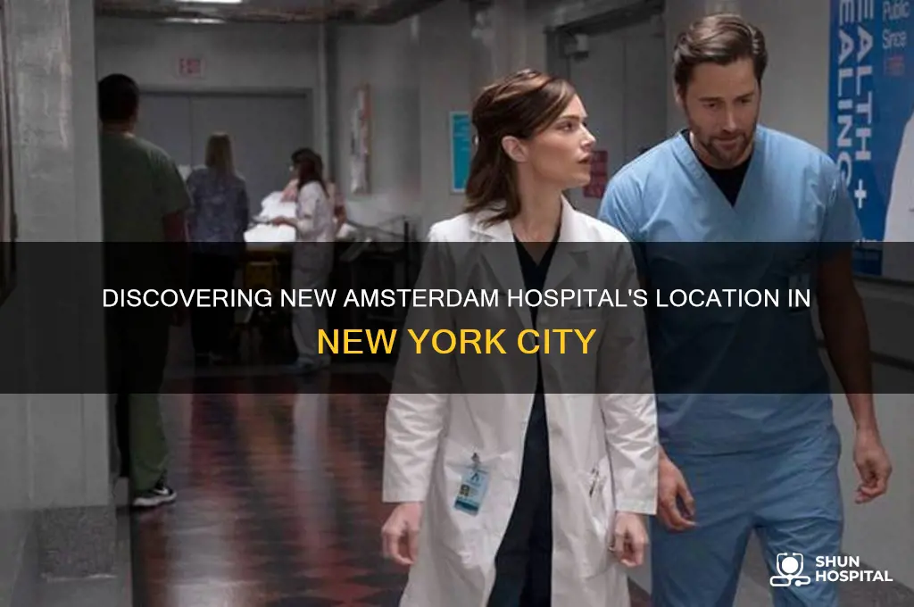 where is new amsterdam hospital in ny