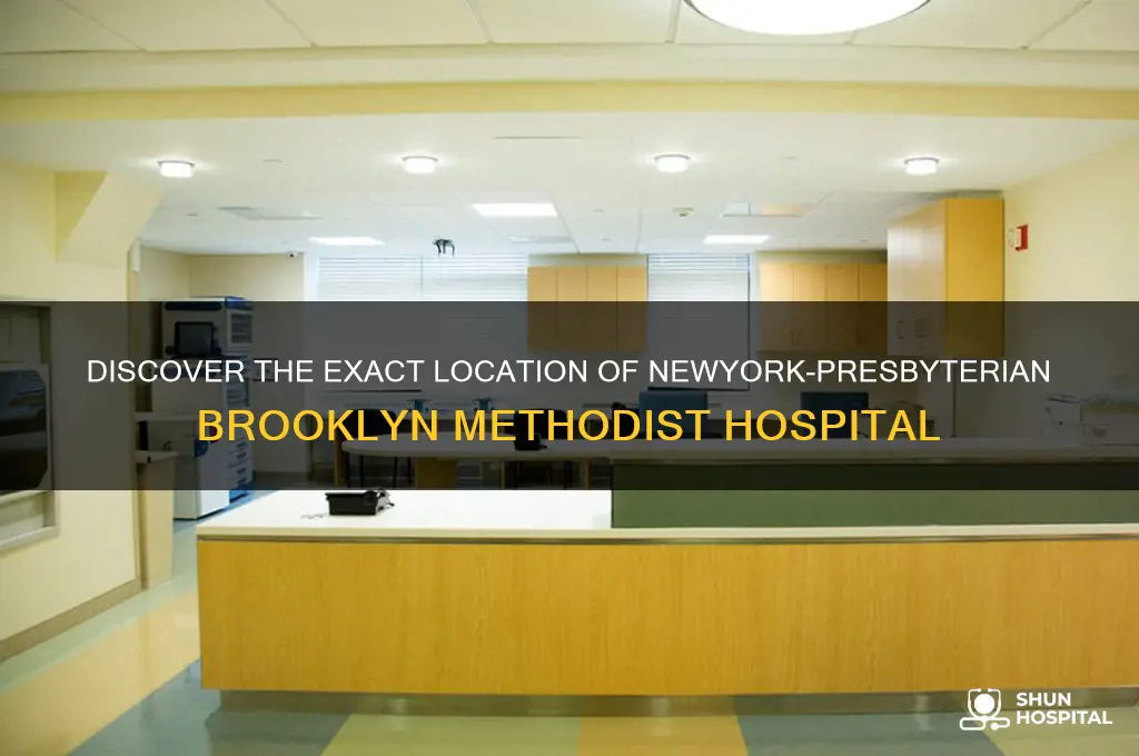 where is newyork-presbyterian brooklyn methodist hospital