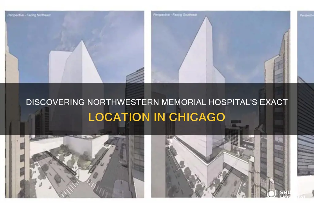 where is northwestern memorial hospital