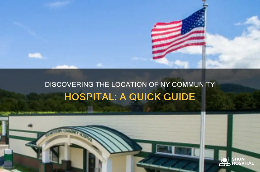 where is ny community hospital