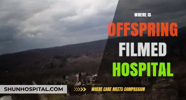Offspring's Hospital Scenes: Unveiling the Real Filming Locations