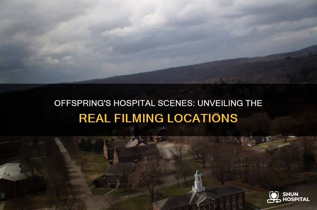where is offspring filmed hospital