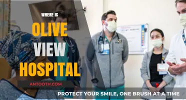 Discovering Olive View Hospital: Location and Directions Guide