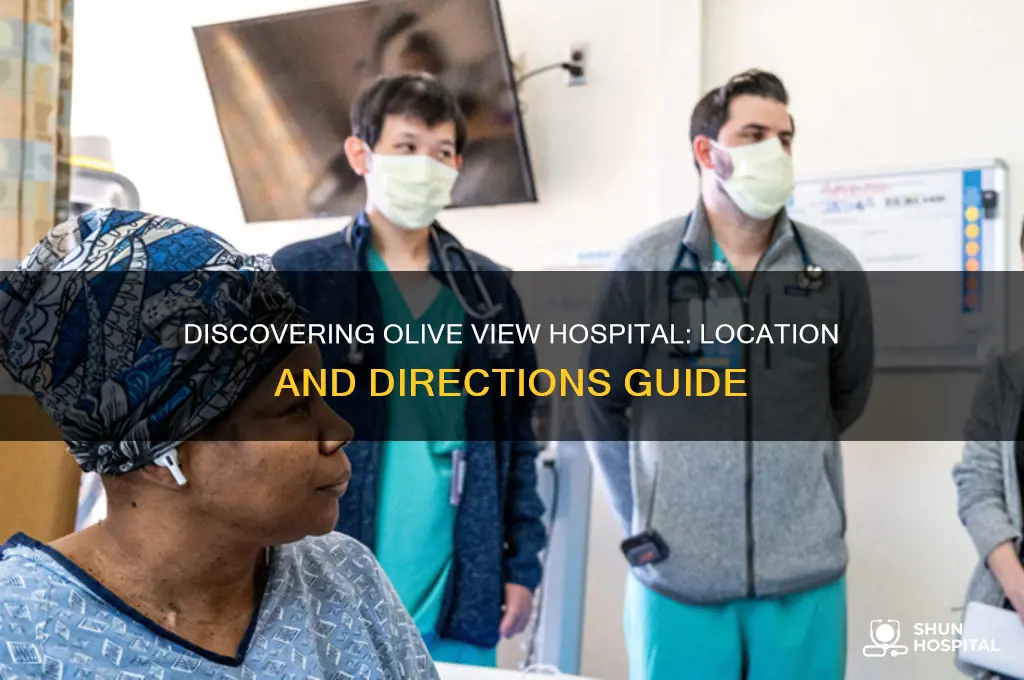 where is olive view hospital
