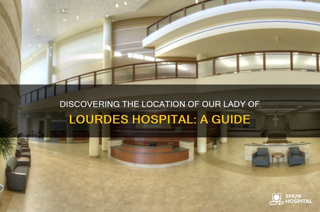 where is our lady of lourdes hospital