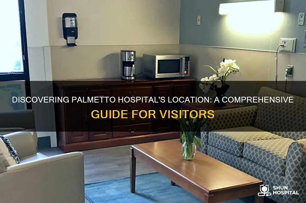 where is palmetto hospital