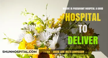 Passavant Hospital: A Top Choice for Safe and Comfortable Deliveries?