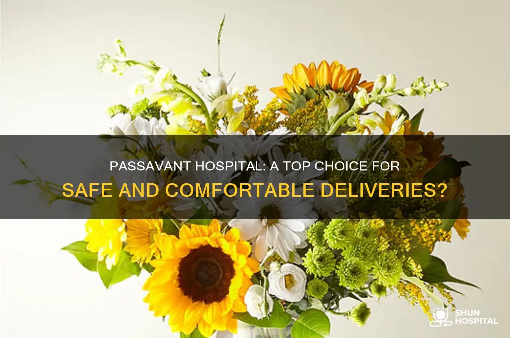 where is passavant hospital a good hospital to deliver