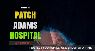 Discovering the Location of Patch Adams' Unique Health Care Facility