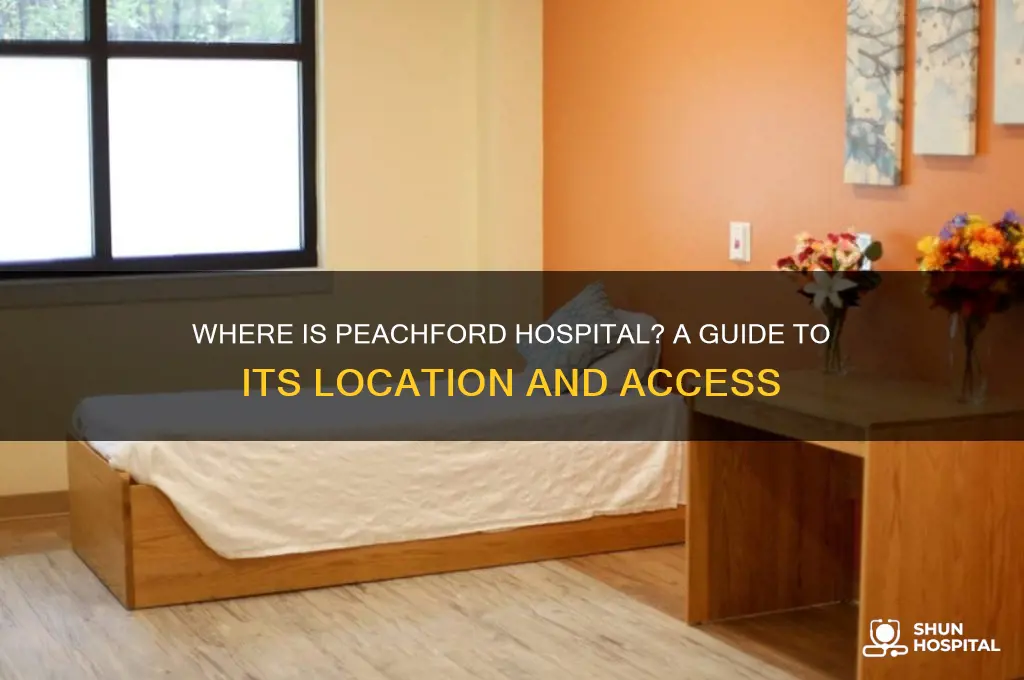where is peachford hospital