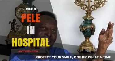 Pele's Hospital Location: Tracking the Soccer Legend's Health Updates