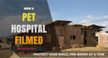 Unveiling the Filming Locations of Pet Hospital: A Behind-the-Scenes Look