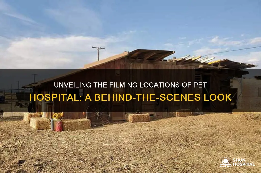where is pet hospital filmed