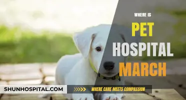 Where to Find Pet Hospital March: Locations and Services Guide