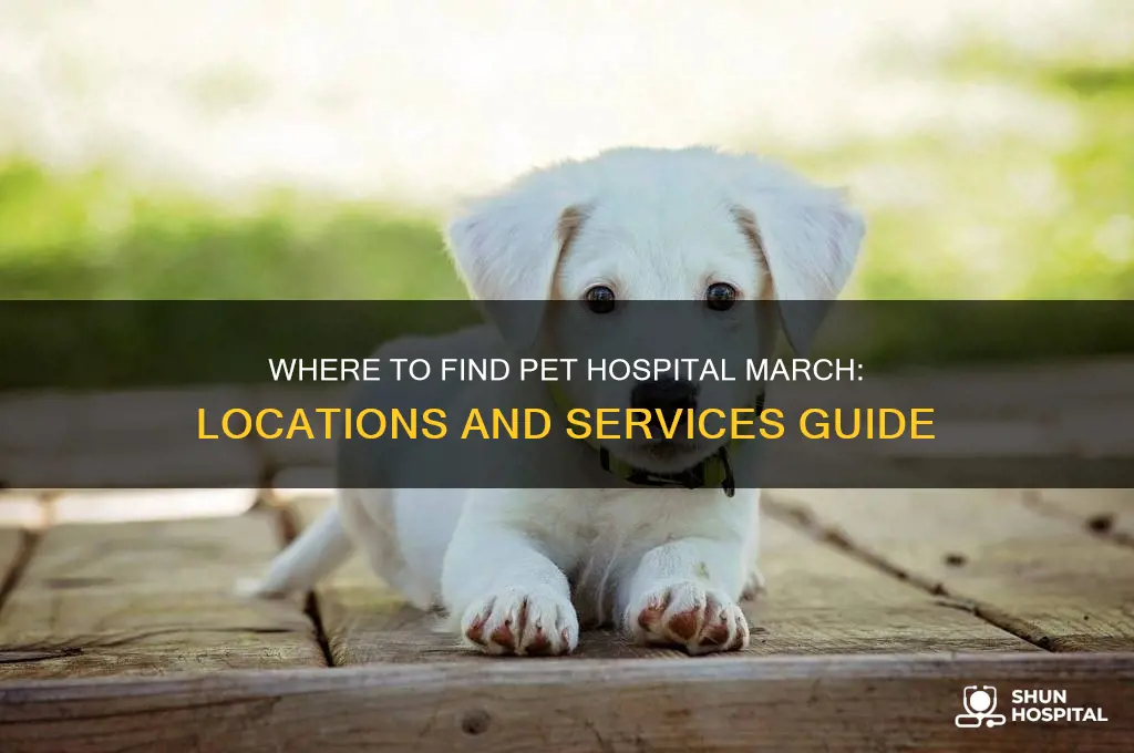 where is pet hospital march