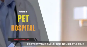 Finding the Nearest Pet Hospital: A Quick and Easy Guide
