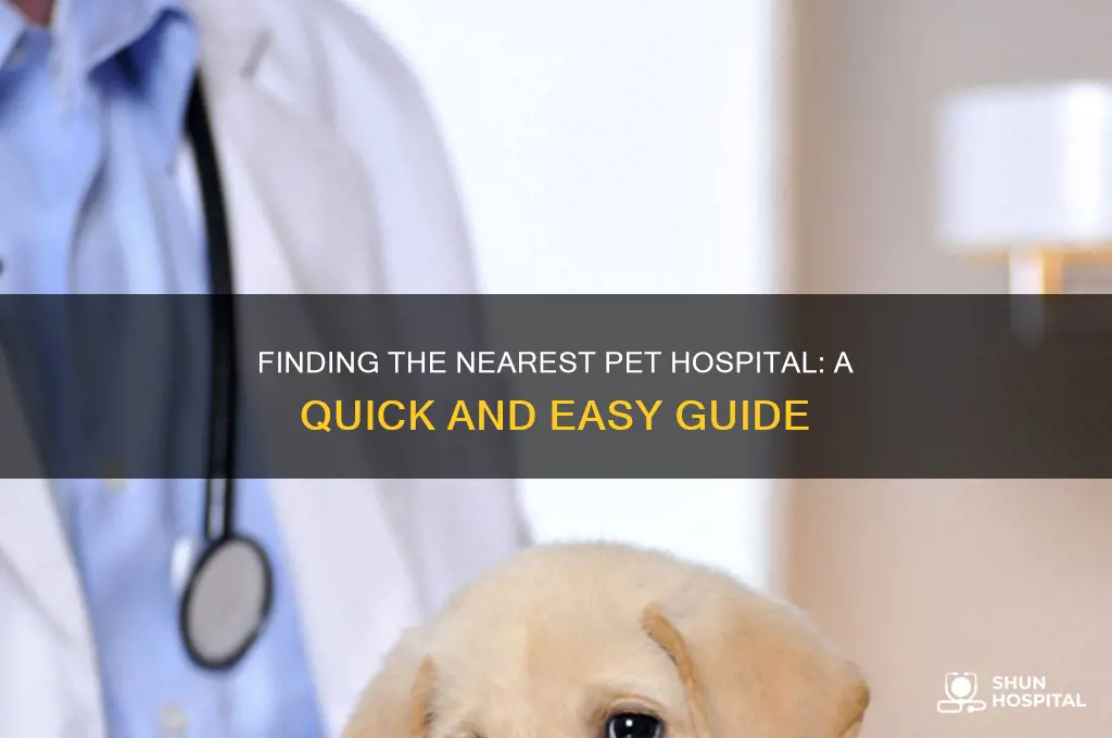 where is pet hospital